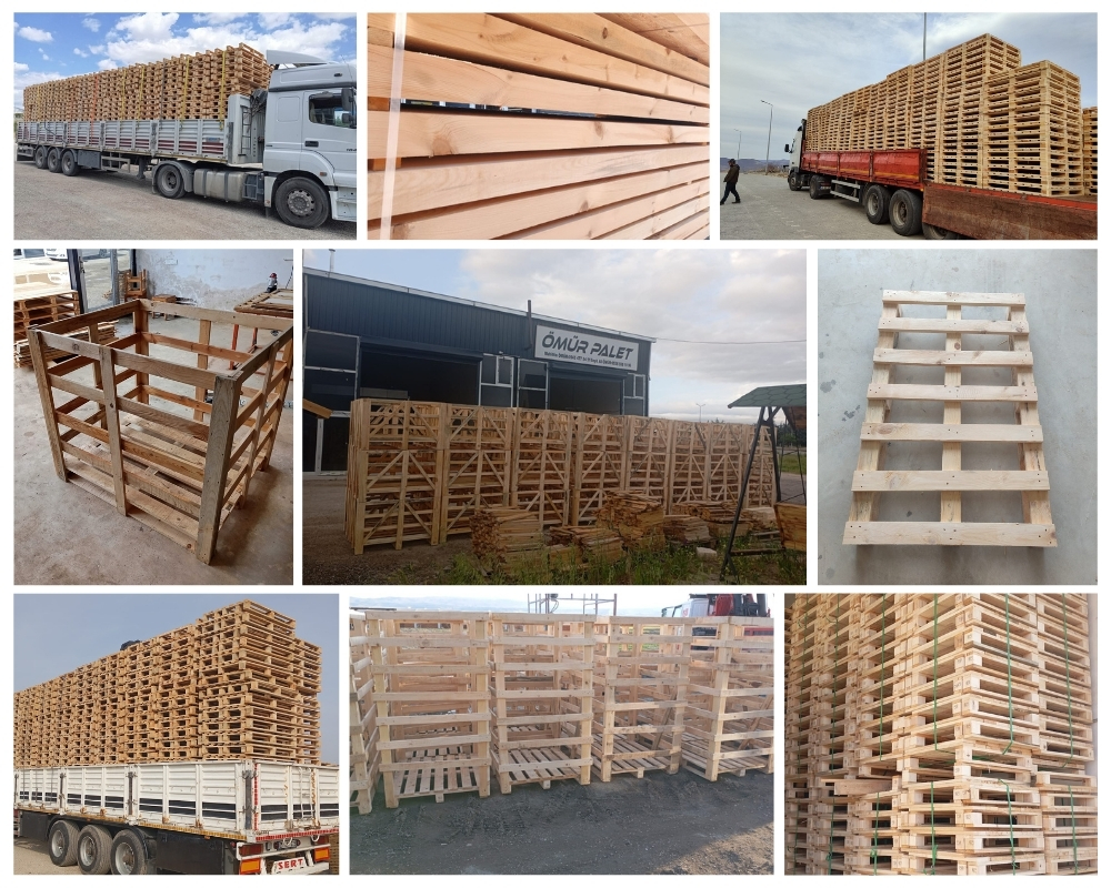 Legnano Palette Europe, Acheter des palettes en gros